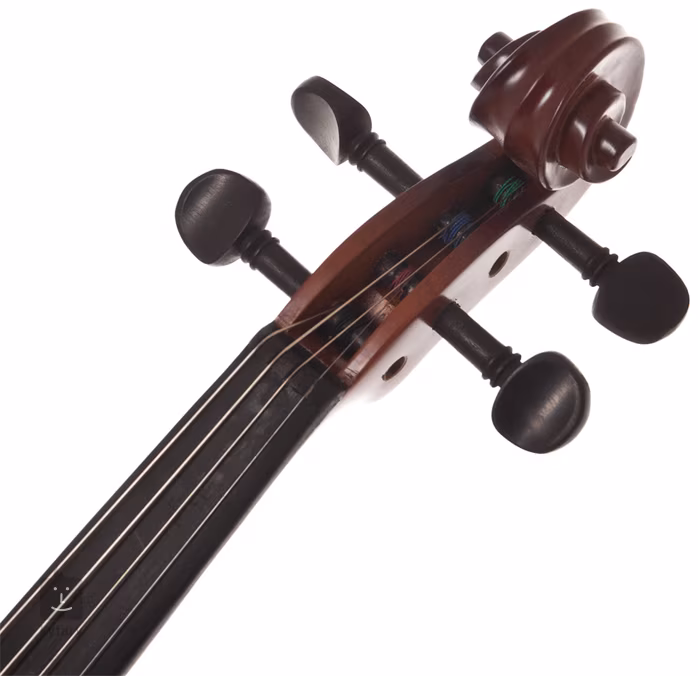 Gewa PS401.612 - Akustische Violine