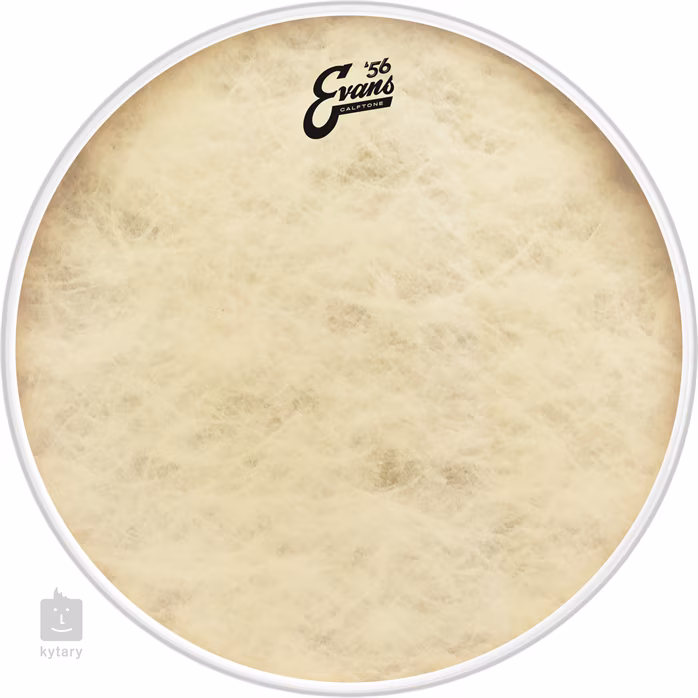 Evans 16" EQ4 Calftone - Tomtom-Trommelfell