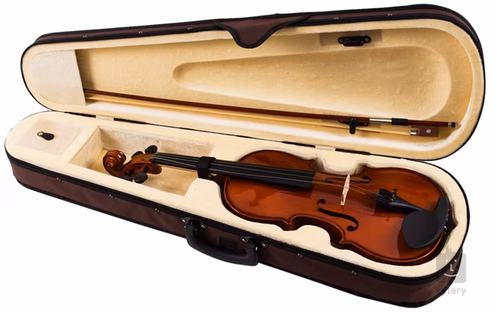 Soundsation VSVI-44 - Akustische Violine