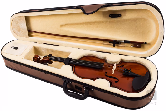 Soundsation VSVI-12 - Akustische Violine