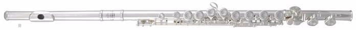 Roy Benson FL-402E - Querflöte