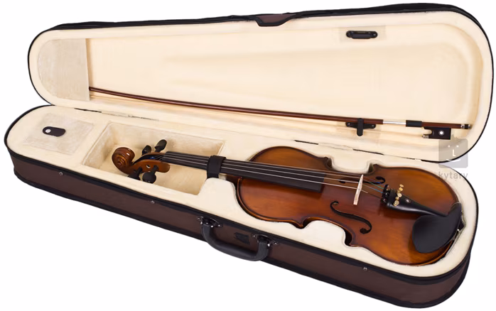 Soundsation VSPVI-44 - Akustische Violine