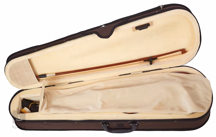 Soundsation VSPVI-12 - Akustische Violine