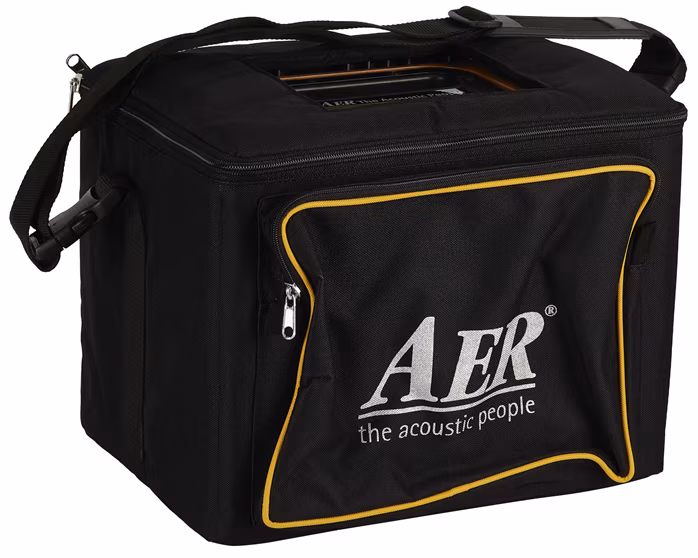 Aer Compact 60 IV ONT Oak Natural - Combo für akustische Instrumente