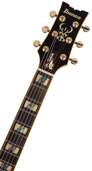 Ibanez JSM20L Black - Semiakustische Gitarre