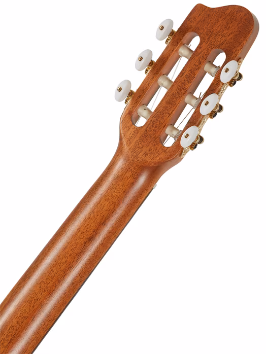 Godin Collection (ausgepackt) - Die klassische Gitarre