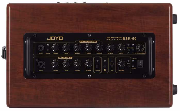 Joyo BSK-60 - Combo für akustische Instrumente