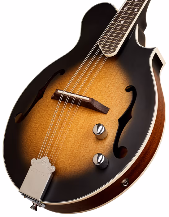 Tanglewood TWMFVSE - Elektroakustische Mandoline