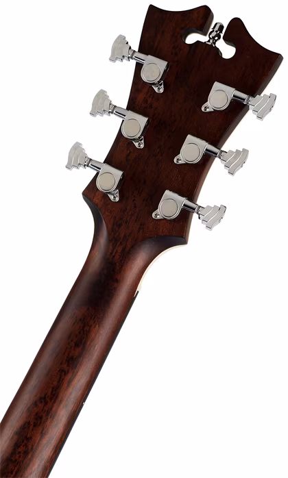 D'Angelico Premier Tammany LS Mahogany Satin (fast neu) - Elektroakustische Gitarre