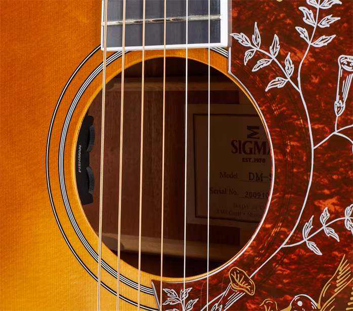 Sigma Guitars DM-SG5 - Elektroakustische Gitarre
