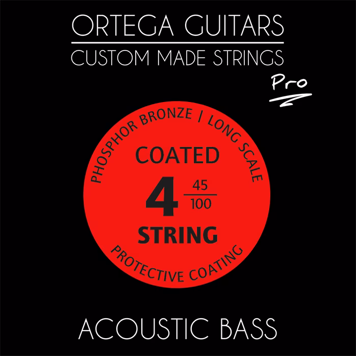 Ortega ABP-4 - Saiten für akustischen Bass