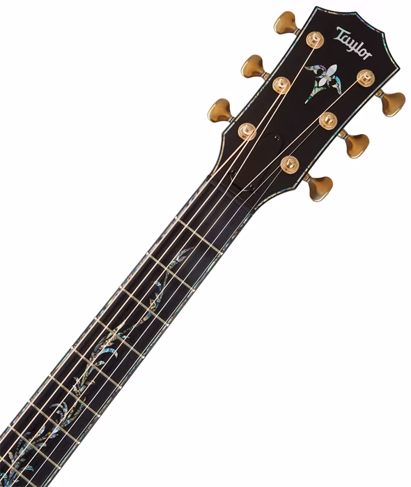 Taylor PS14ce - Elektroakustische Gitarre