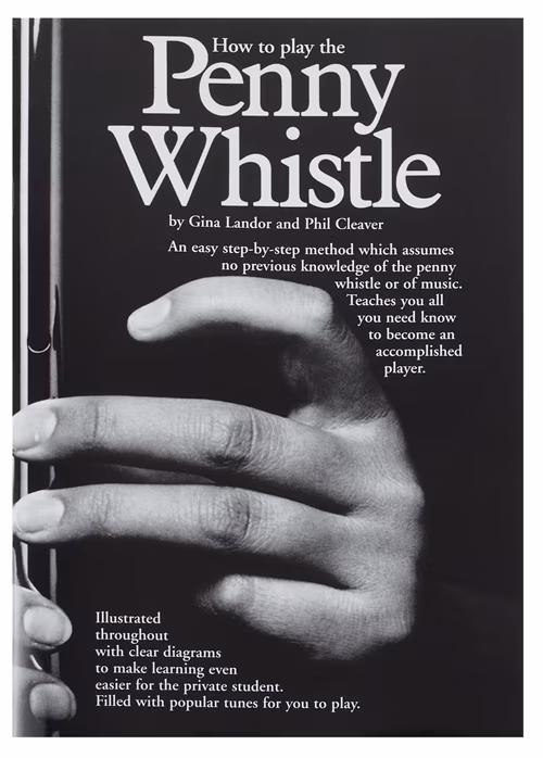 MS How To Play The Penny Whistle - Irish-Flute-Schule für Anfänger