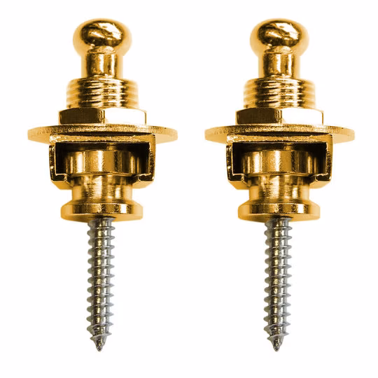 Richter Strap Lock Set Gold - Security Locks für Gurt