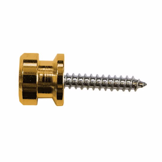 Richter Strap Lock Set Gold - Security Locks für Gurt