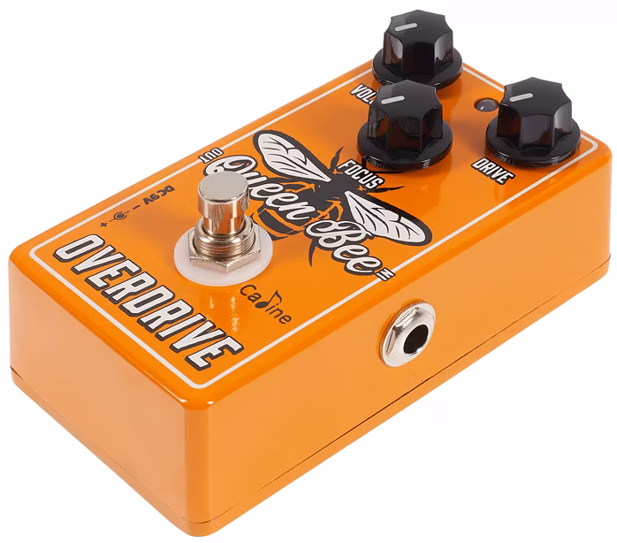 Caline CP-503 Queen Bee Overdrive - Gitarren-Effekt