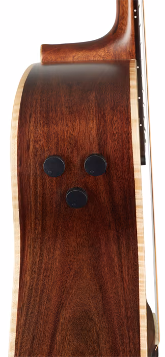 Ibanez PA300E Natural - Elektroakustische Gitarre