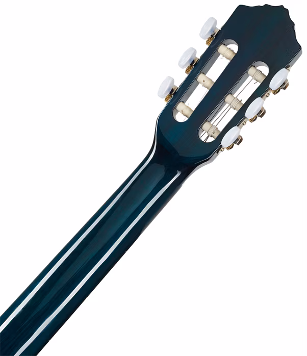 Ortega R121SNOC - Die klassische Gitarre