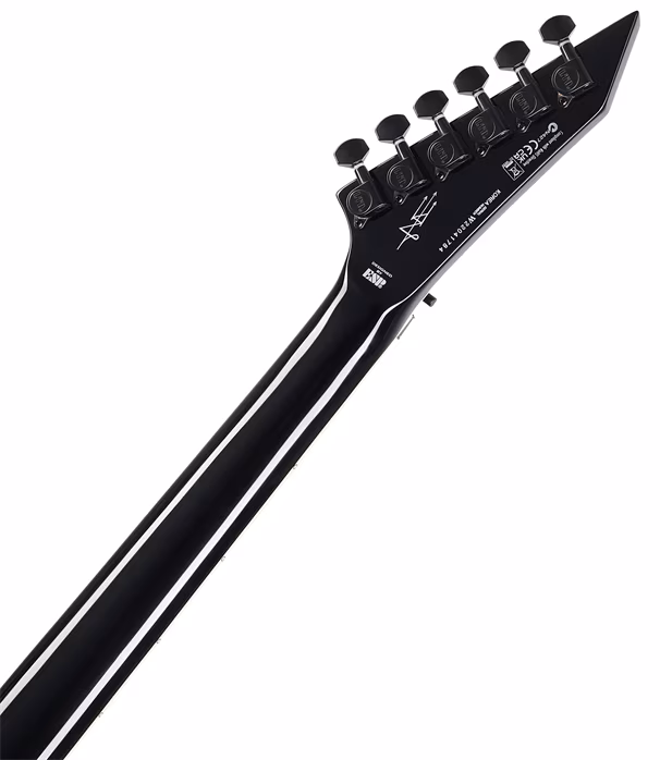 ESP LTD SD-2 BLK Sammy Duet - E-Gitarre