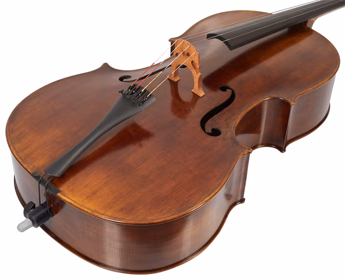 Petr Rácz Violoncello Domenico Montagnana anno 2022 - Violoncello