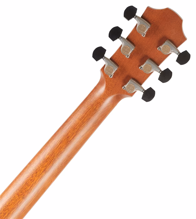 Furch Rainbow Gc-DE - Elektroakustische Gitarre