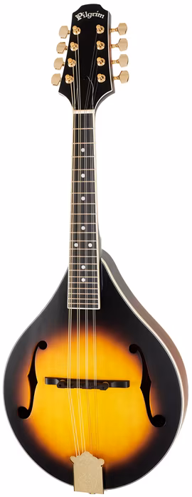 Pilgrim VPMA30 - Akustische Mandoline