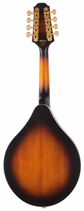 Pilgrim VPMA30 - Akustische Mandoline