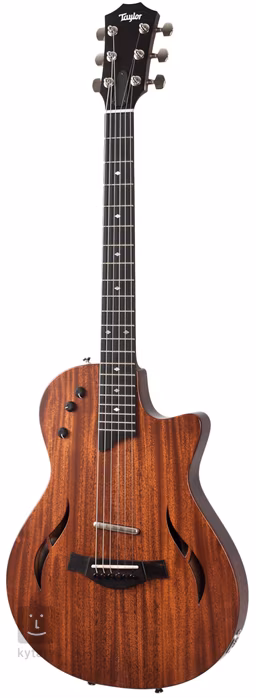 Taylor T5z Classic - Elektroakustische Hybridgitarre
