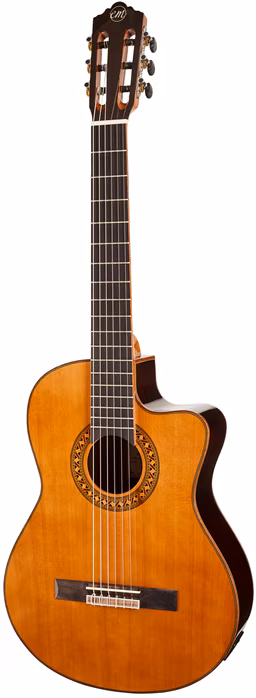 Tanglewood EM DC 5 - Klassische elektroakustische Gitarre