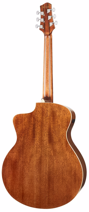 Ibanez PA230E Natural - Elektroakustische Gitarre