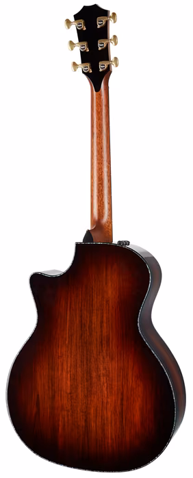 Taylor PS14ce - Elektroakustische Gitarre