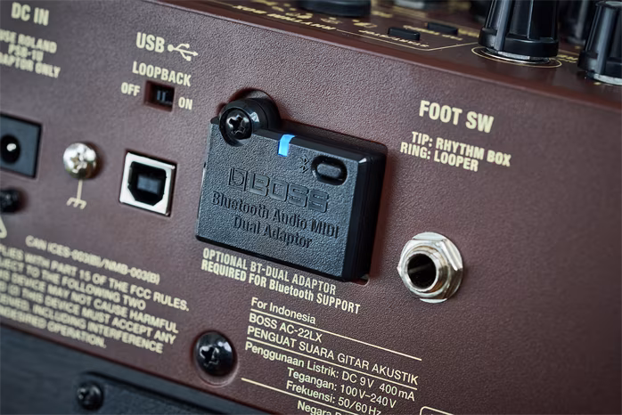 Boss AC-22LX - Combo für akustische Instrumente