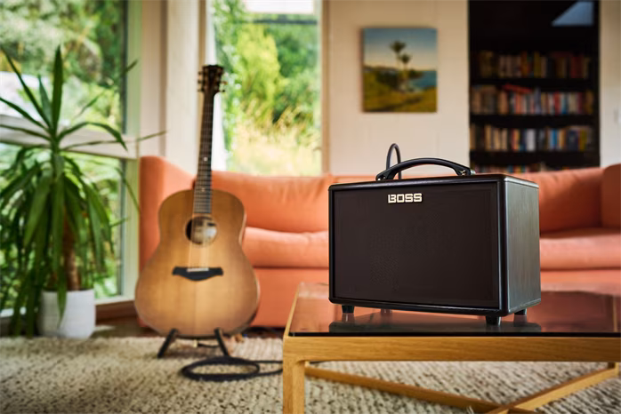 Boss AC-22LX - Combo für akustische Instrumente