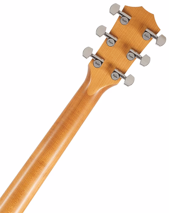 Taylor 110ce-S (gebraucht) - Elektroakustische Gitarre