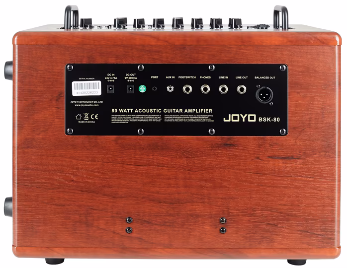 Joyo BSK-80 - Combo für akustische Instrumente