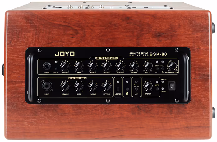 Joyo BSK-80 - Combo für akustische Instrumente