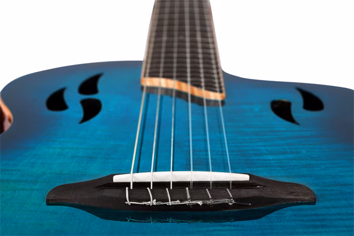 Ortega RTPDLX-FMA - Klassische elektroakustische Gitarre