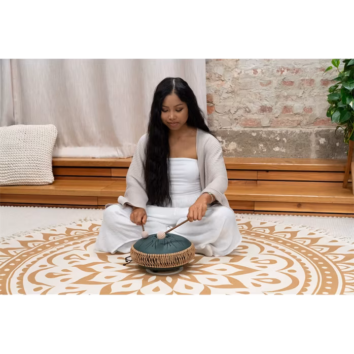 Meinl Sonic Energy 10" Octave Steel Tongue Drum F# Minor - Tonque Drum