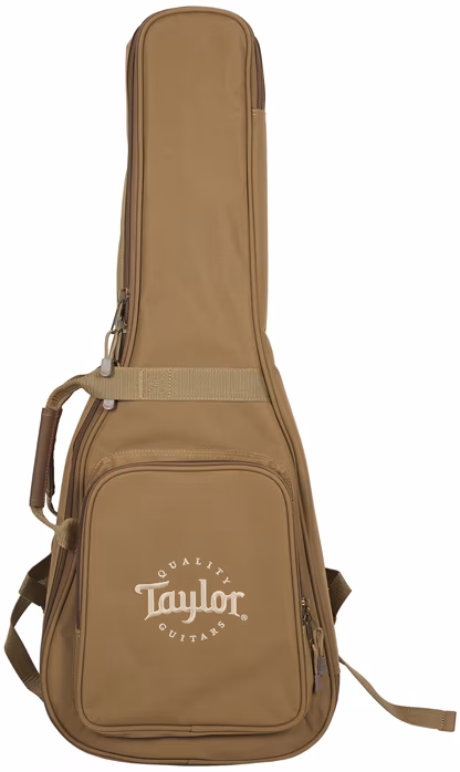 Taylor BT1e - Elektroakustische Gitarre