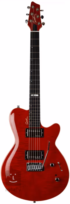 Godin DS-1 Daryl Stuermer Signature - E-Gitarre