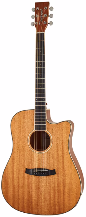 Tanglewood TUN5CE - Elektroakustische Gitarre