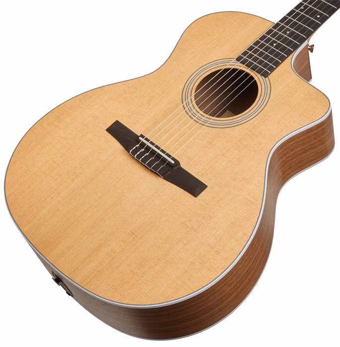 Taylor 214ce-N - Klassische elektroakustische Gitarre