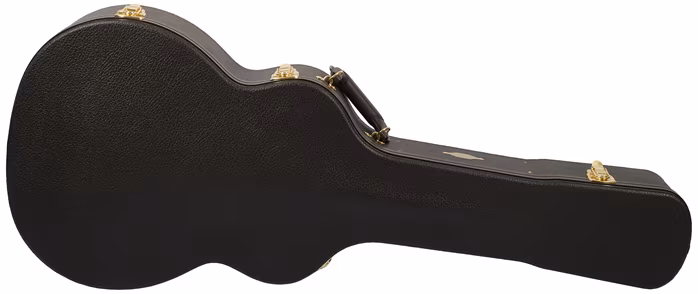 Taylor 224ce-K DLX - Elektroakustische Gitarre