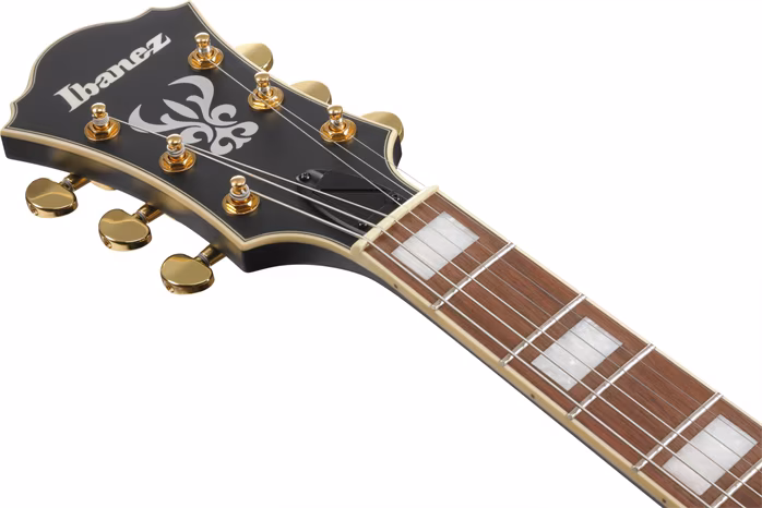 Ibanez AF75G Black - Semiakustische Gitarre