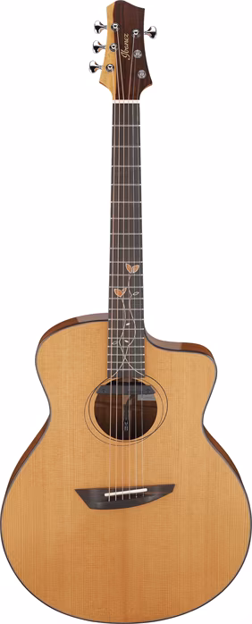 Ibanez Jon Gomm JGM11 - Elektroakustische Gitarre