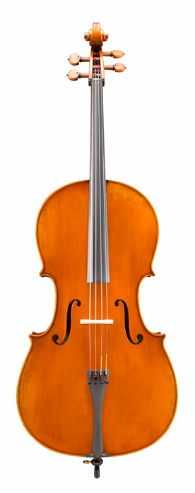 Eastman Amsterdam Atelier 2 Series 4/4 Cello - Violoncello