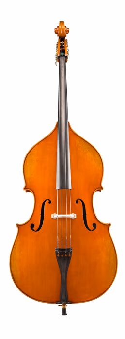 Eastman Amsterdam Atelier 3 Series 3/4 Bass - Akustische Kontrabass
