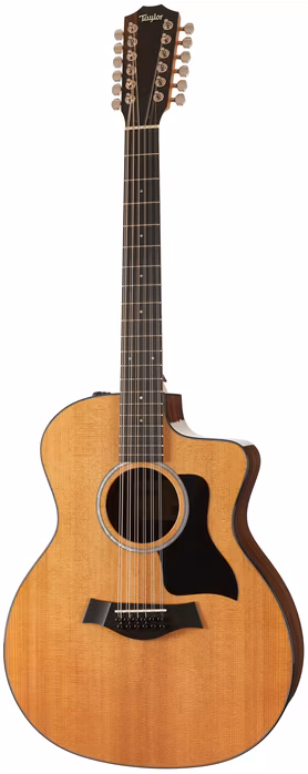 Taylor 254ce Plus - Zwölfsaitige elektroakustische Gitarre