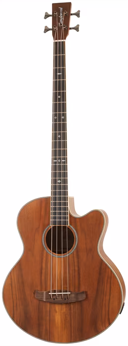 Tanglewood TRU7ABCE AW - Elektroakustischer Bass
