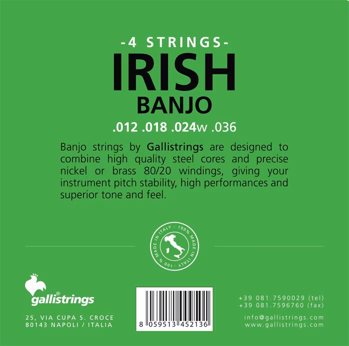 Galli G215 CM Irish Banjo 4-String Tenor Custom Medium - Irish Tenor Banjo Strings